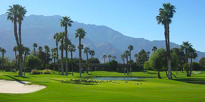 Desert Princess | Complex | Palm Springs Real Estate for Sale – Condos